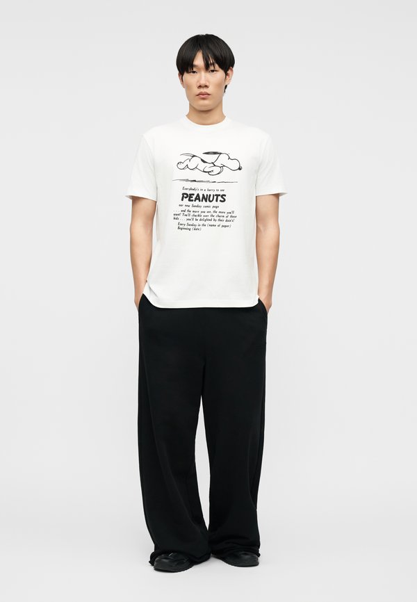 Iceberg