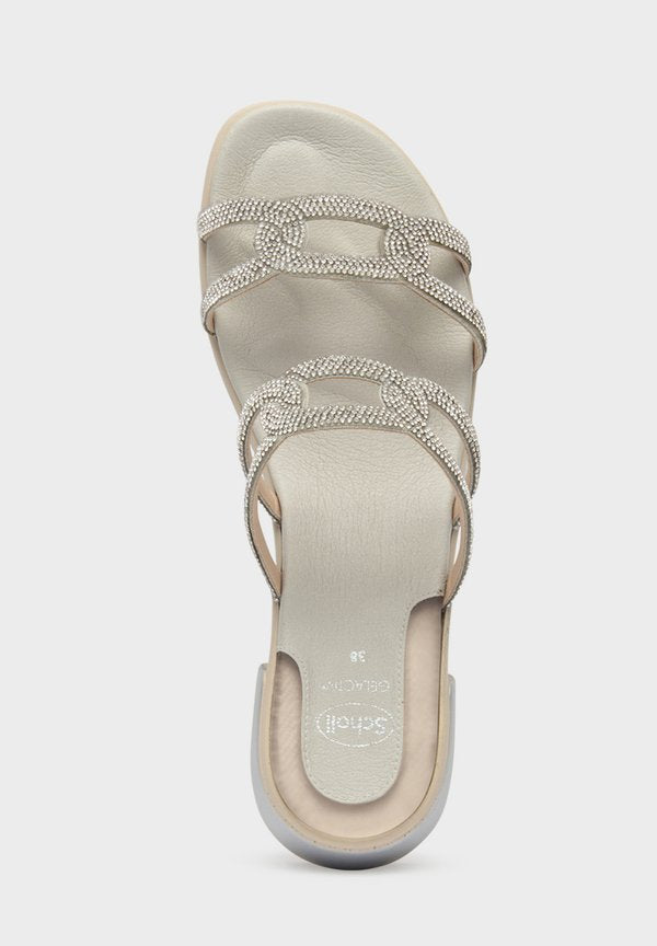 Scholl  LIPARI