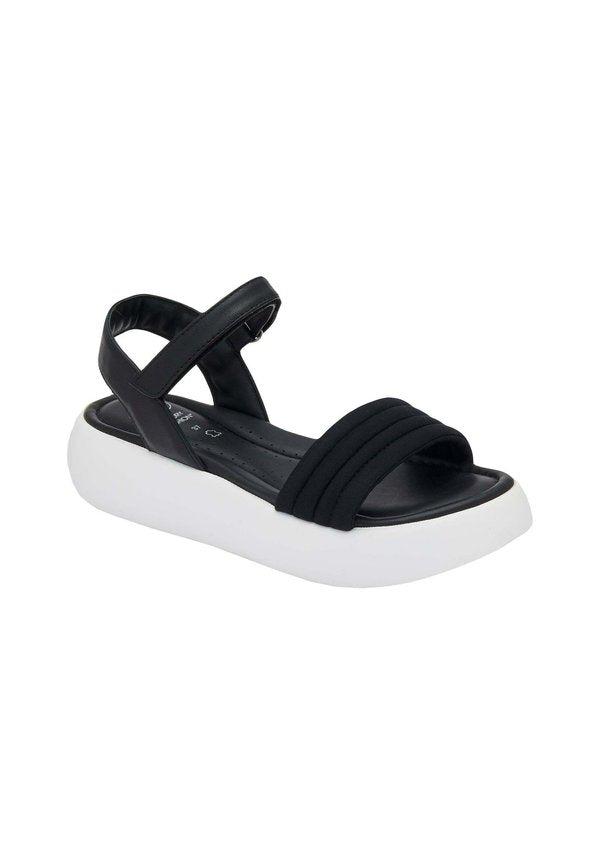 Scholl BOCA