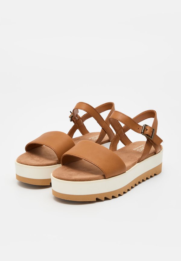 TOMS BRYNN