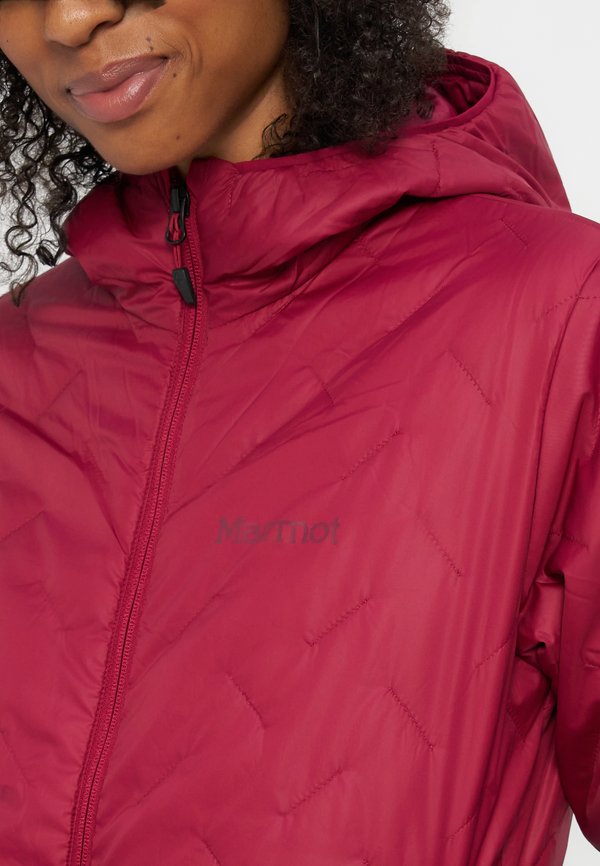 Marmot