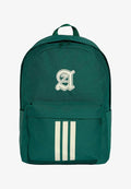 adidas Performance STADIUM GRAPHICS BACKPACK UNISEX - Rucksack - collegiate green   ivory
