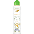 Antitranspirant Deospray Bridgerton Love & Meadows Dove