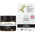 Anti Falten Nachtcreme Argan Dr. Scheller