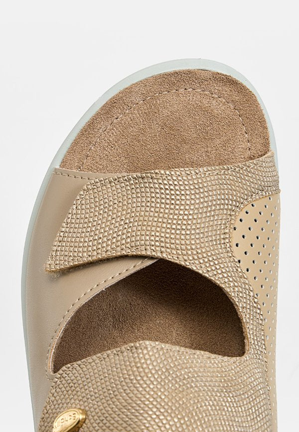 Scholl ANTONIA