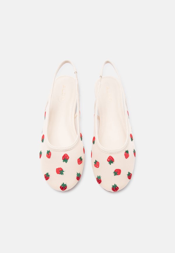 ALDO DROPLET
