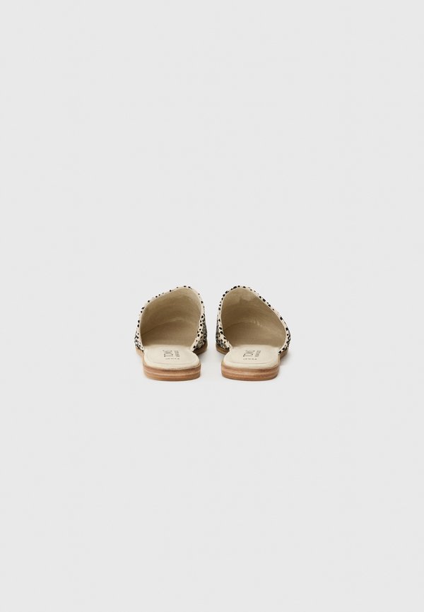 TOMS FOG  JADE