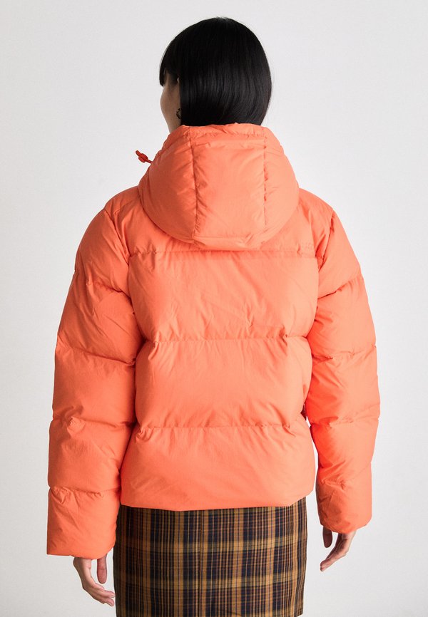 Lacoste BF3262_XFJ