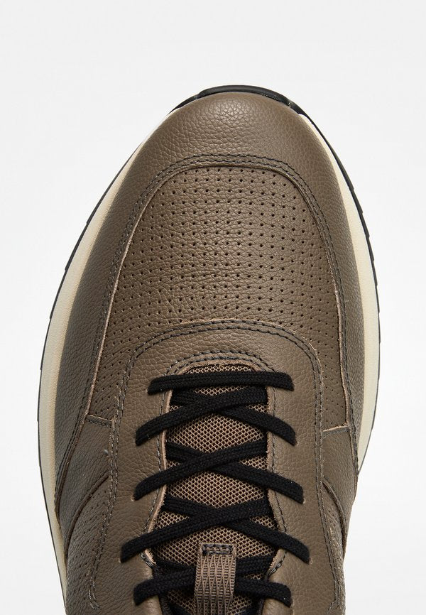 ECCO