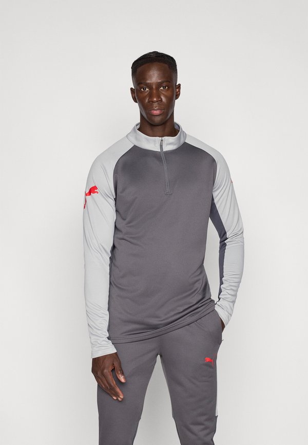 Puma INDIVIDUALLIGA 1/4 ZIP - Long sleeved top - dusky gray/red/gray echo