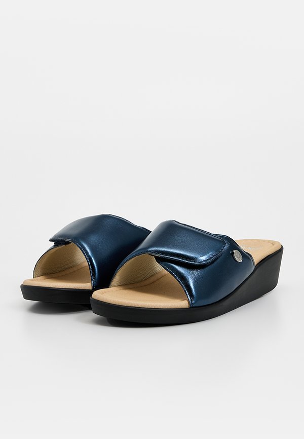Scholl LEDEL