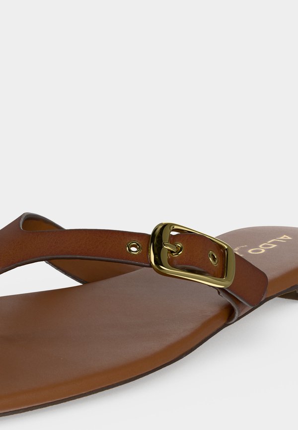 ALDO LEONNIA