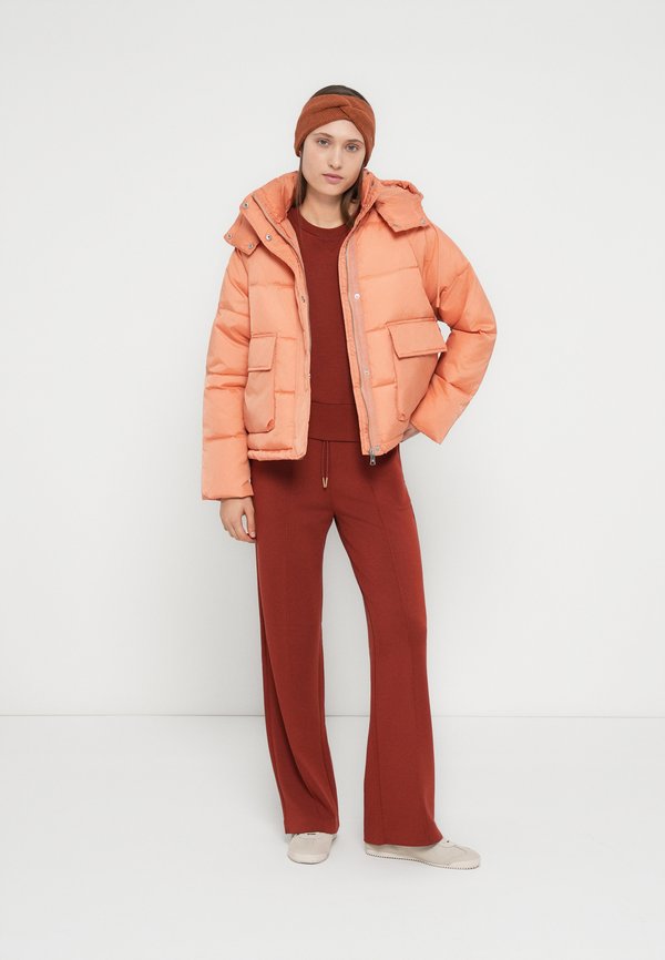 Scotch & Soda