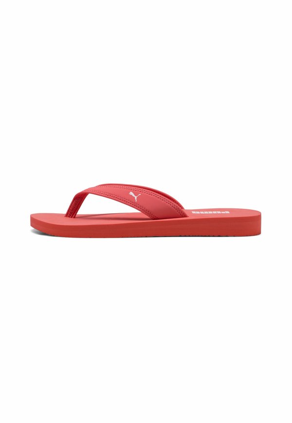 Puma SANDY