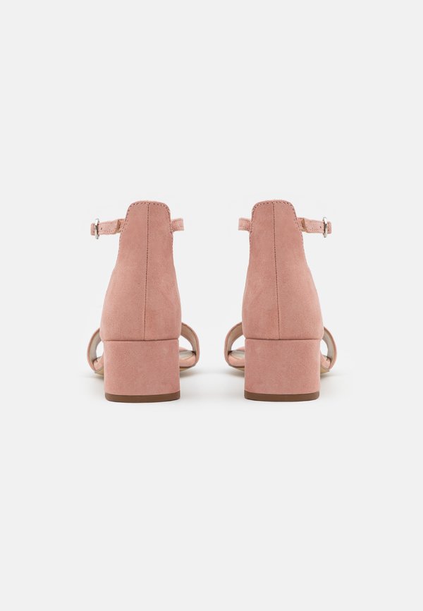 Anna Field by Zalando LEATHER