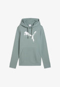 Puma Hoodie - green moon metallic silver