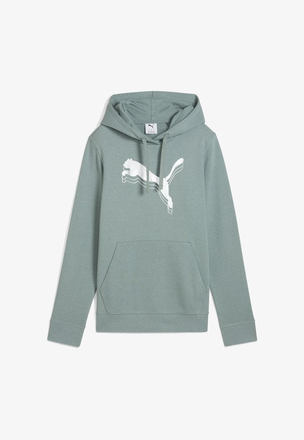 Puma Hoodie - green moon metallic silver