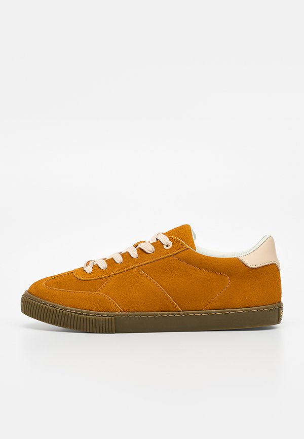 Pollini