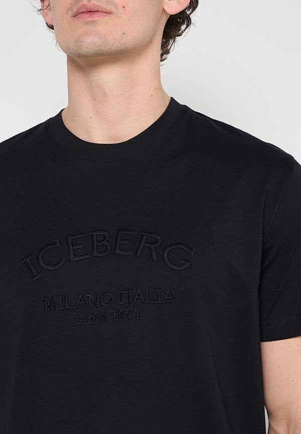 Iceberg