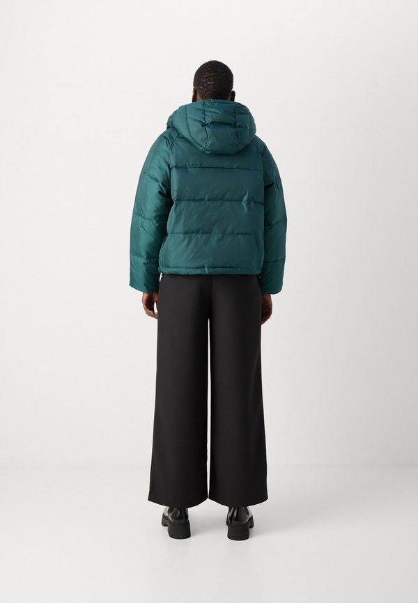 Scotch & Soda