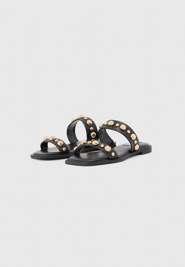 Steve Madden