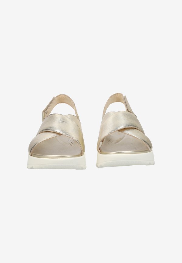 Clarks Originals  DASHLITE WISH