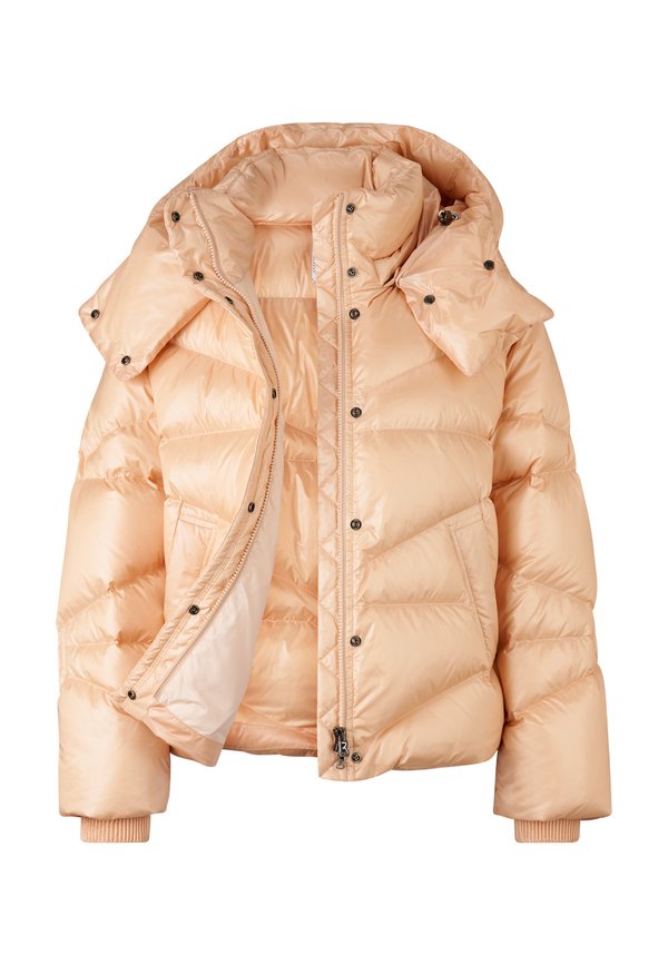 Bogner XALLY-D1