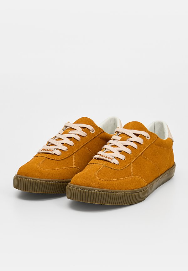 Pollini