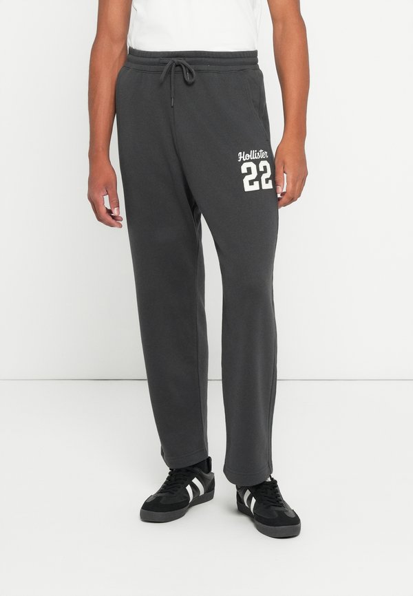 Hollister Co. BAGGY LOGO