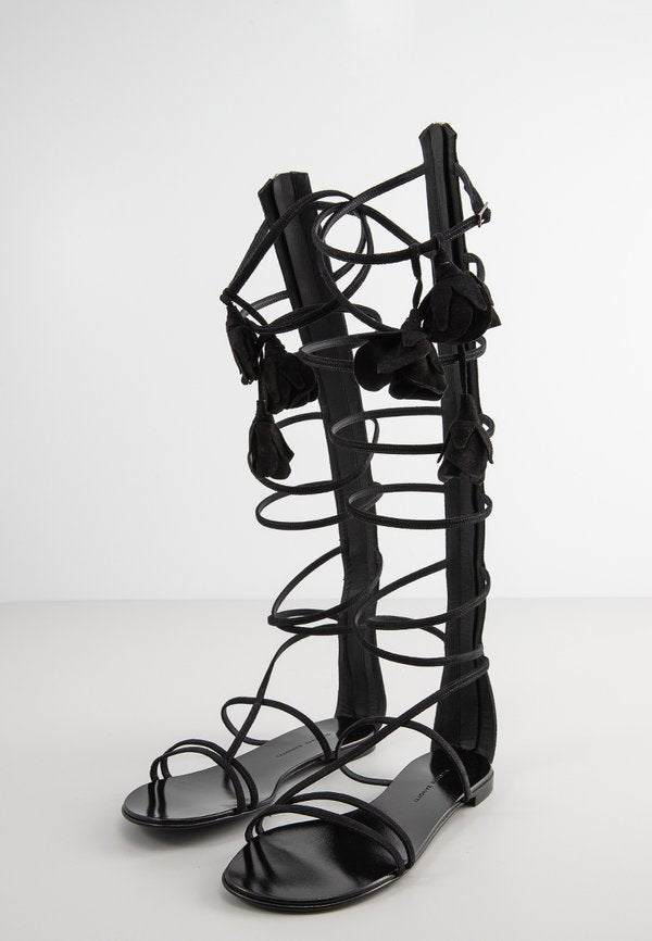 Giuseppe Zanotti