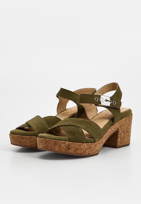 Scholl DARCY