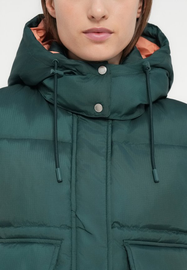 Scotch & Soda