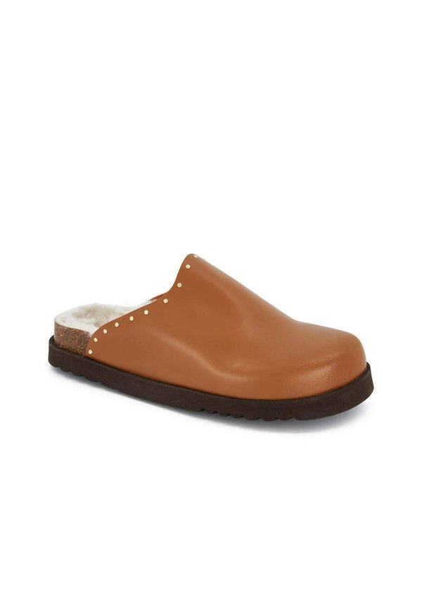 Scholl  FAE STUDS