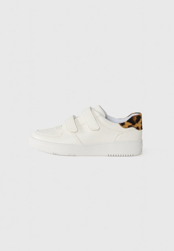 ALDO