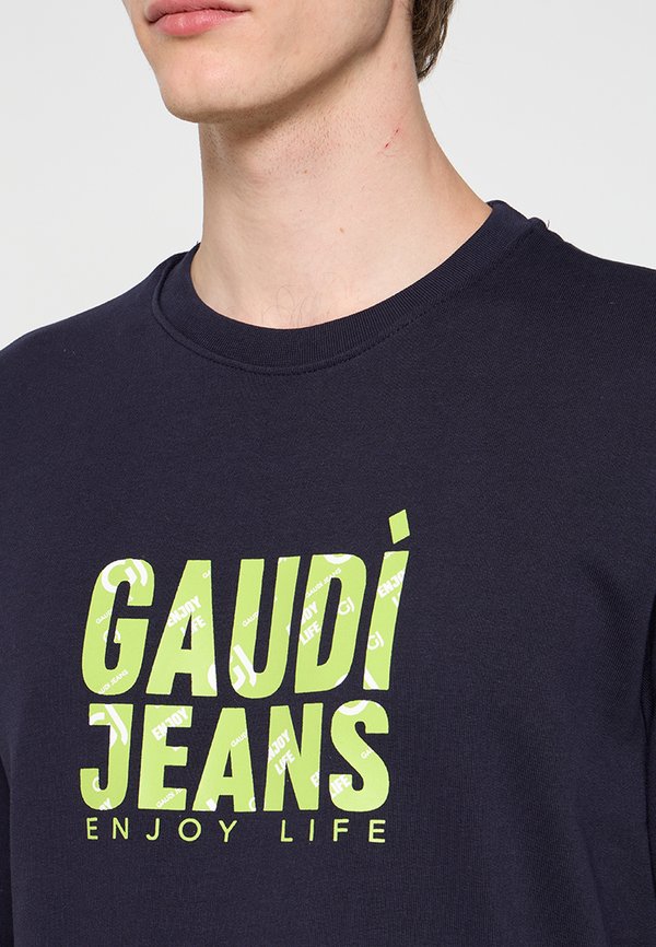 Gaudi