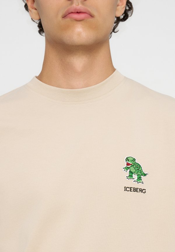 Iceberg