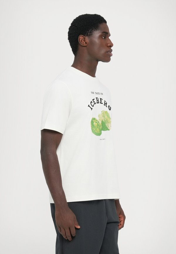 Iceberg