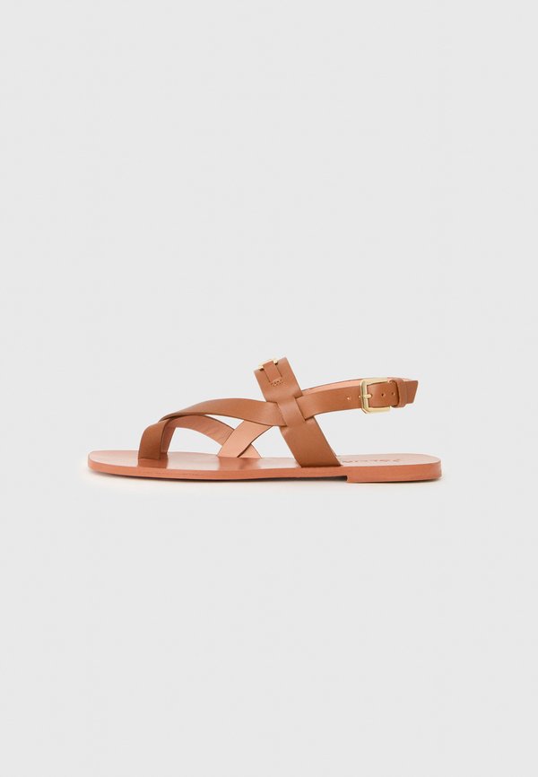 Pollini