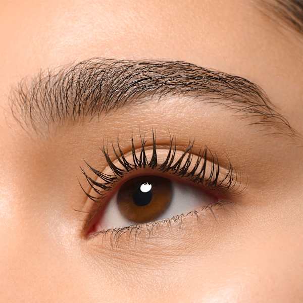 Mascara Lash Without Limits Tubing Brown Extreme Lengthening & Volume 05 Brown Tubing essence
