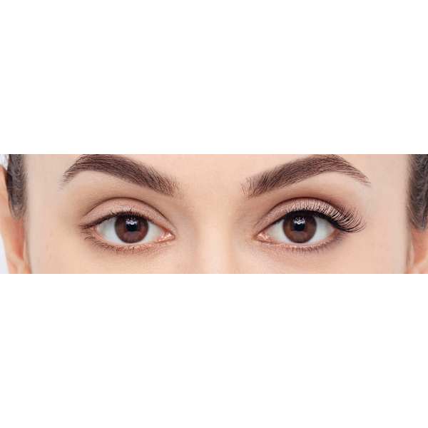 Künstliche Wimpern 3/4 Length 007 Light & Wispy (1 Paar) Eylure