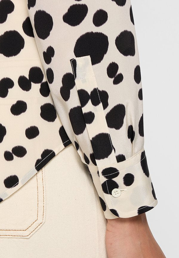 ASPESI