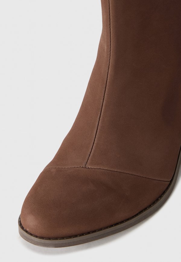 TOMS EVELYN