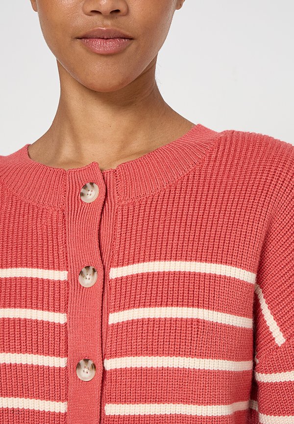 Scotch & Soda