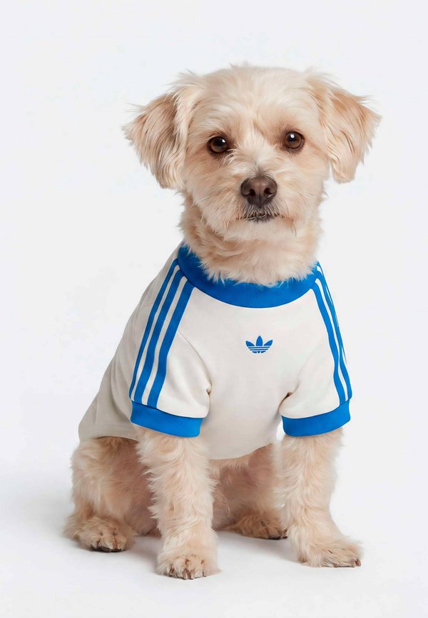 adidas Originals PET CALI TEE - Pet accessory - off white bluebird