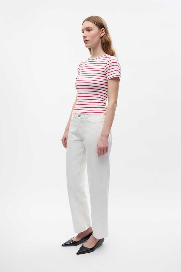 Envii ALLY CROP TEE