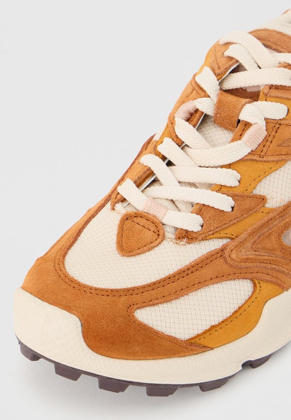 ECCO BIOM C TRAIL