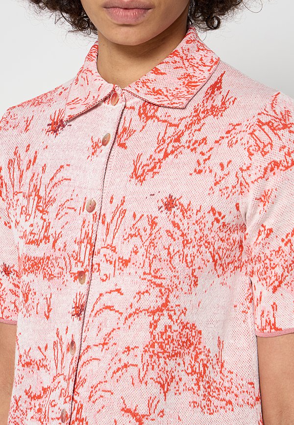 Ivko