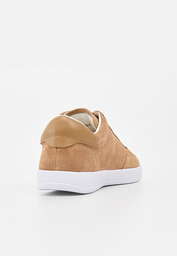 Pollini