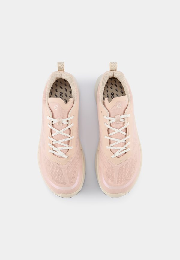 ECCO BIOM 2.2