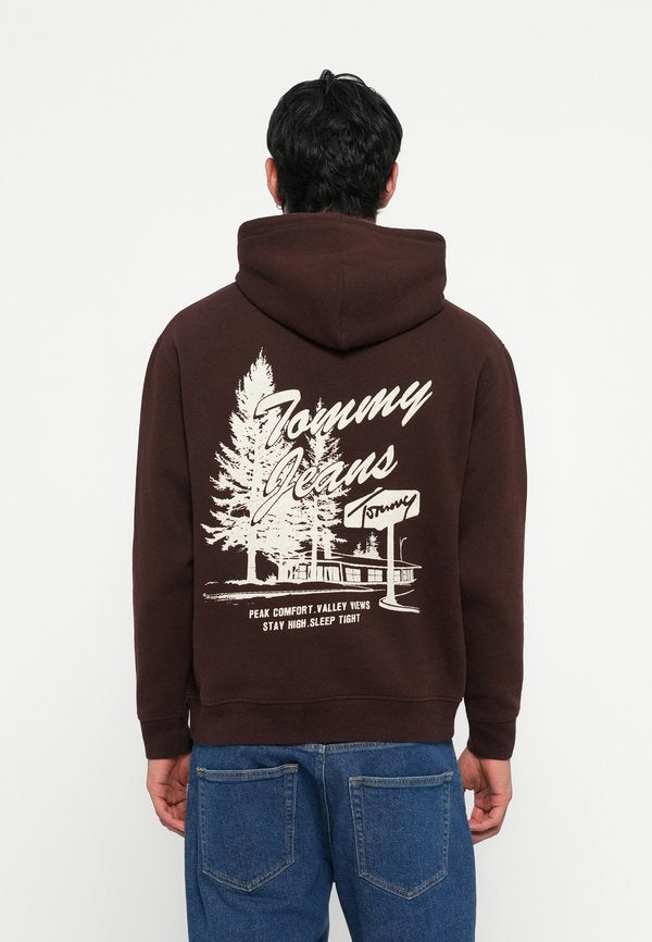 Tommy Jeans NOVELTY GRAPHIC HOODIE